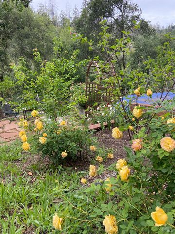 11641 HWY 128 Hwy, Healdsburg, CA 95448