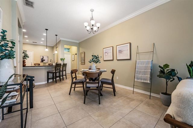 12537 SILVERDALE STREET, Tampa, FL 33626