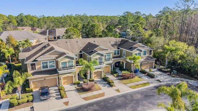 12537 SILVERDALE STREET, Tampa, FL 33626