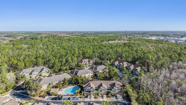 12537 SILVERDALE STREET, Tampa, FL 33626