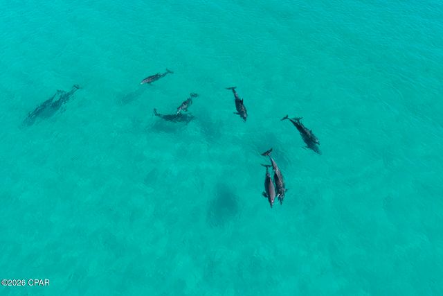 17647 Front Beach Road, Panama City Beach, FL 32413