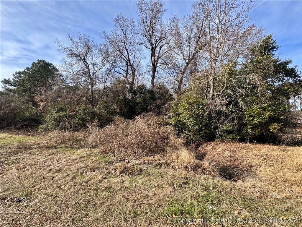 0 Tramway Road, Sanford, NC 27330 — photo 10