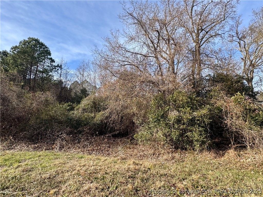 0 Tramway Road, Sanford, NC 27330 — photo 11