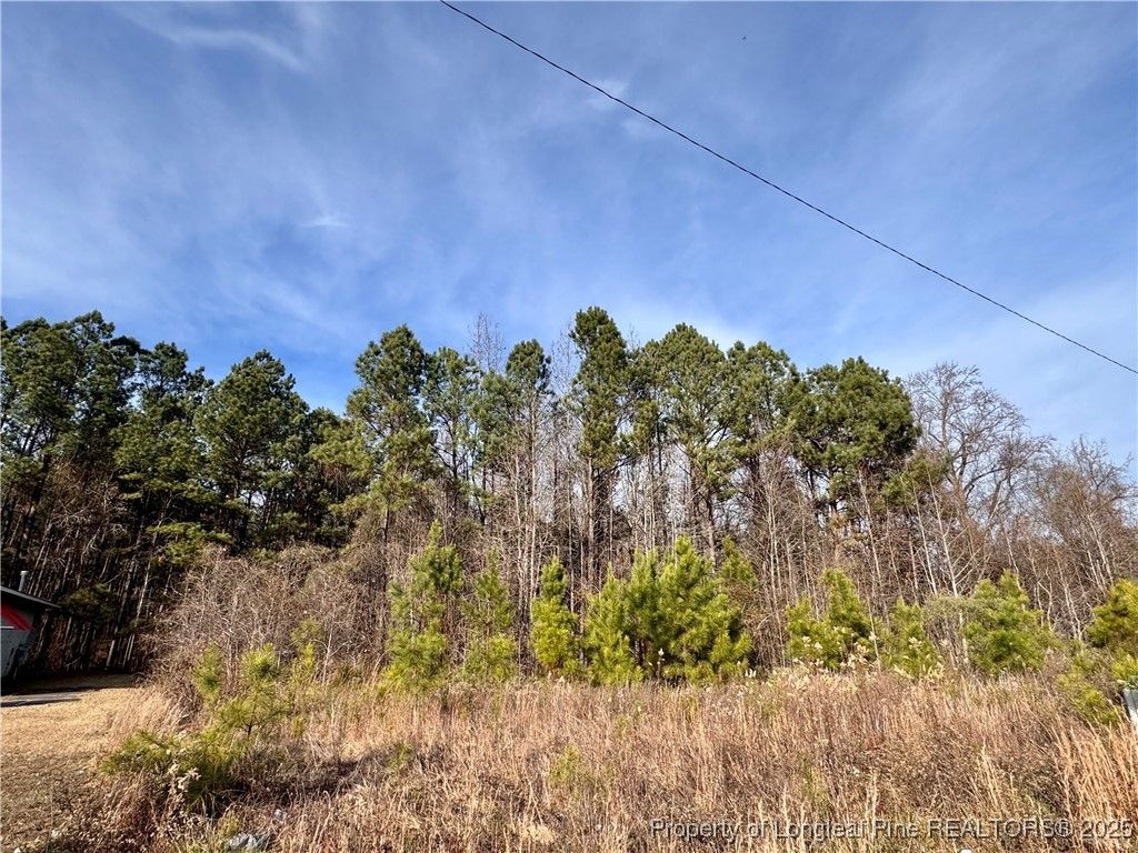 0 Tramway Road, Sanford, NC 27330 — photo 12
