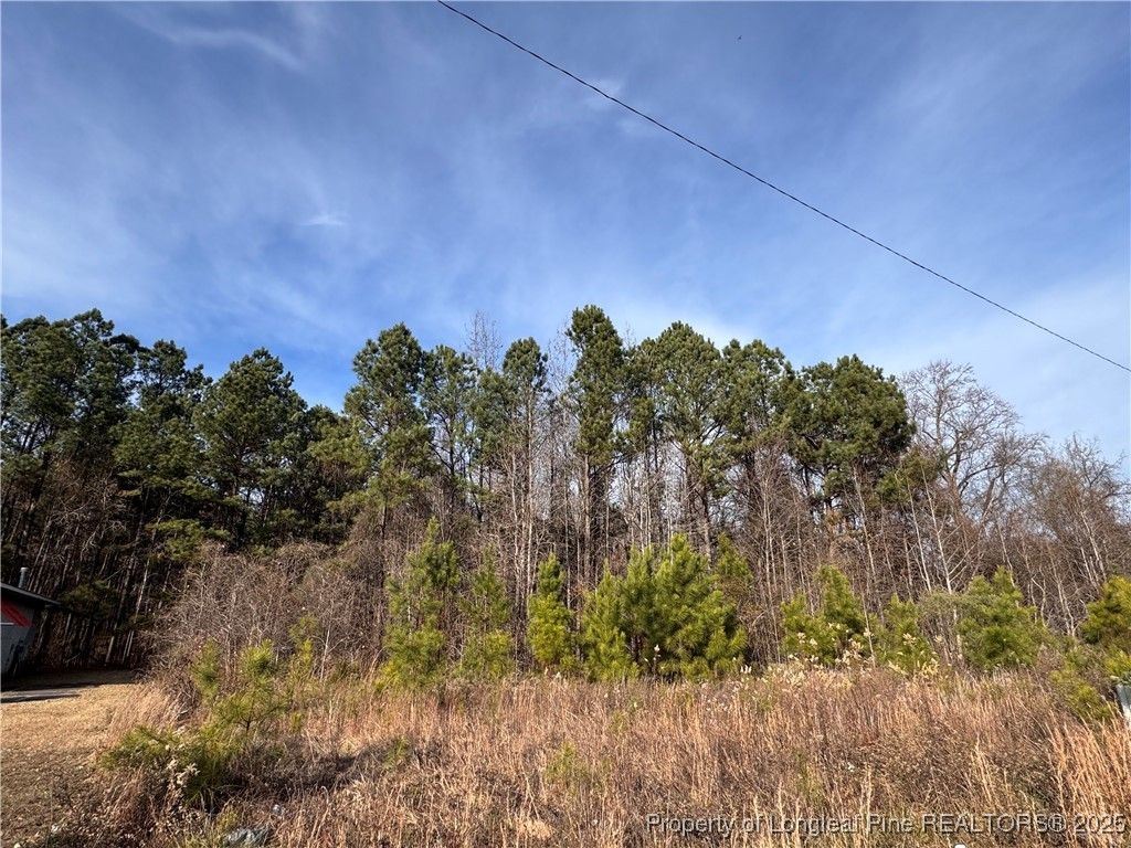 0 Tramway Road, Sanford, NC 27330 — photo 13