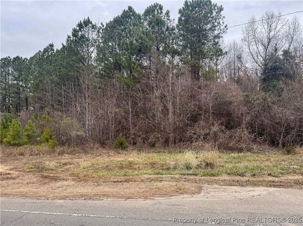 0 Tramway Road, Sanford, NC 27330 — photo 14