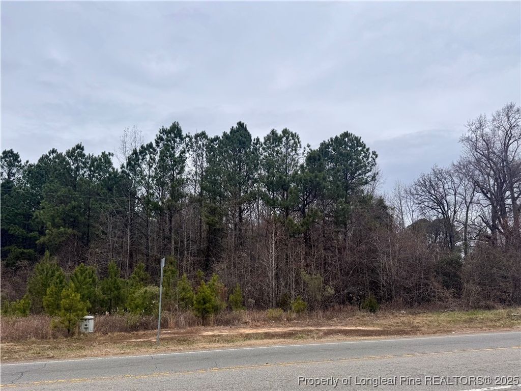 0 Tramway Road, Sanford, NC 27330 — photo 16