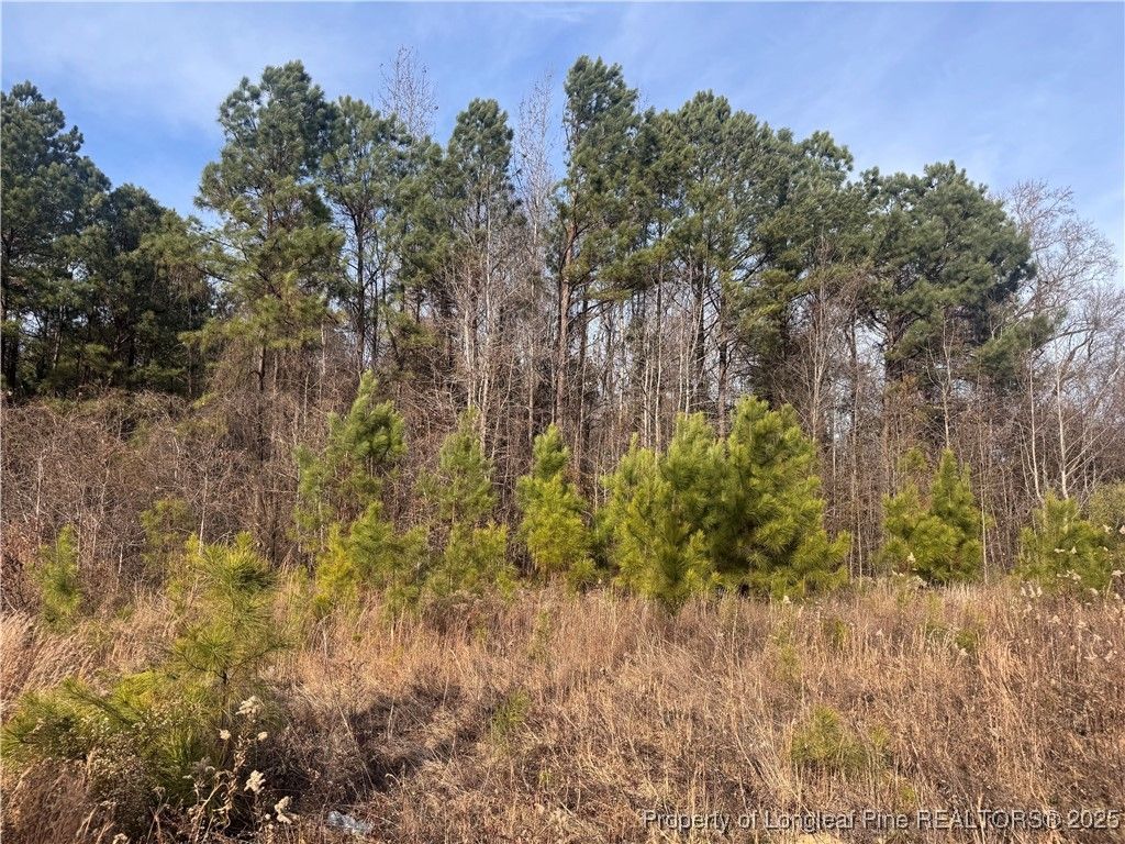 0 Tramway Road, Sanford, NC 27330 — photo 2