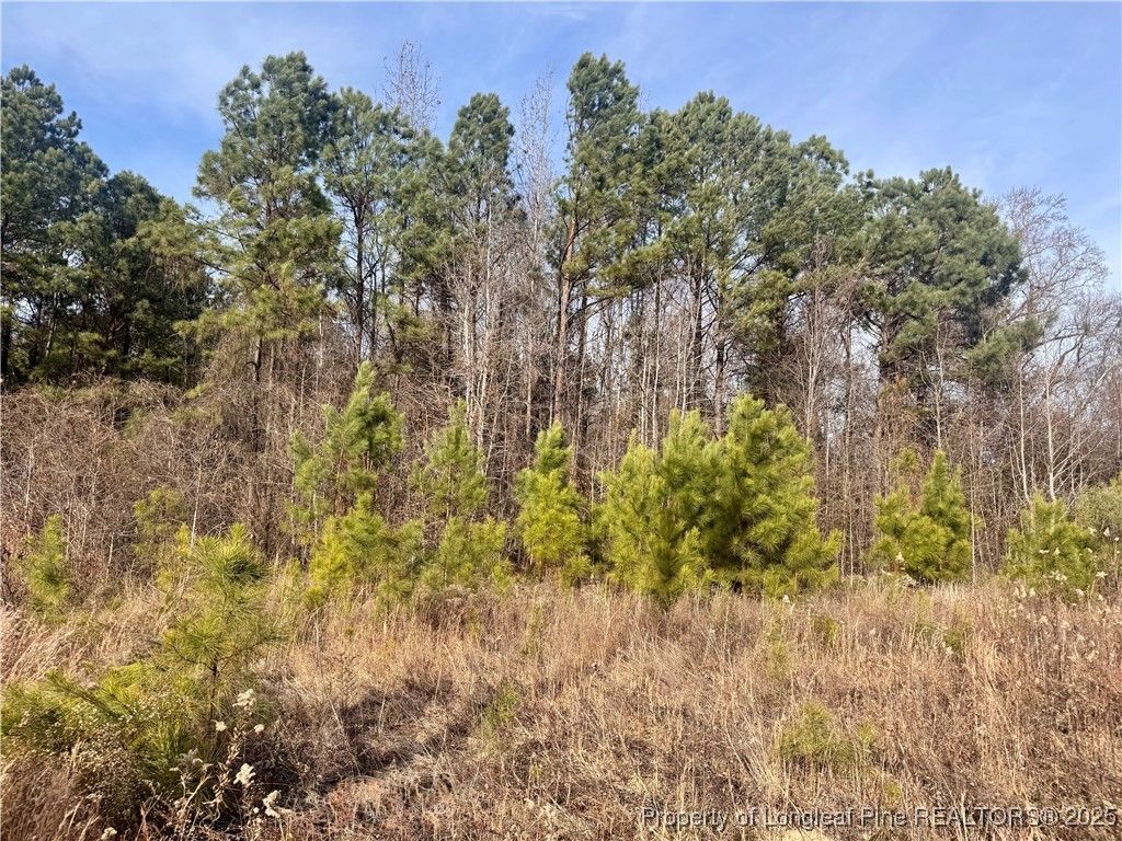 0 Tramway Road, Sanford, NC 27330 — photo 3