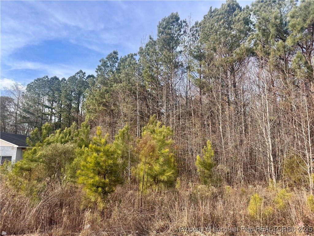 0 Tramway Road, Sanford, NC 27330 — photo 5