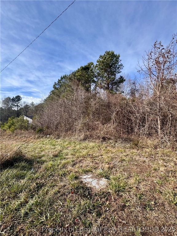 0 Tramway Road, Sanford, NC 27330 — photo 6