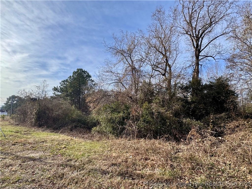 0 Tramway Road, Sanford, NC 27330 — photo 7