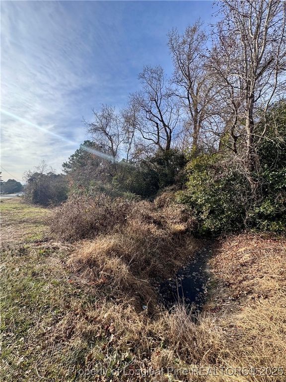 0 Tramway Road, Sanford, NC 27330 — photo 8