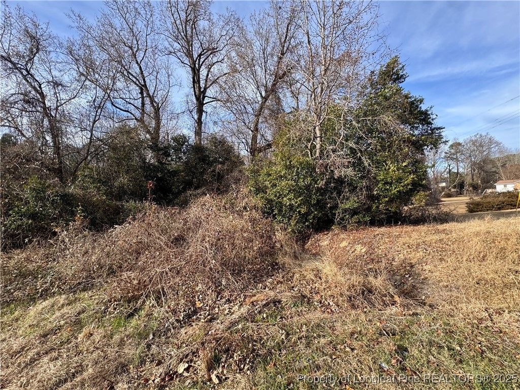 0 Tramway Road, Sanford, NC 27330 — photo 9