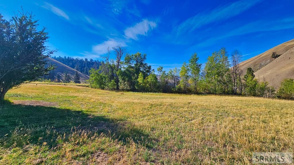 Image 13 of property listing at 53 Runnin Bear Road, Carmen, ID 83462