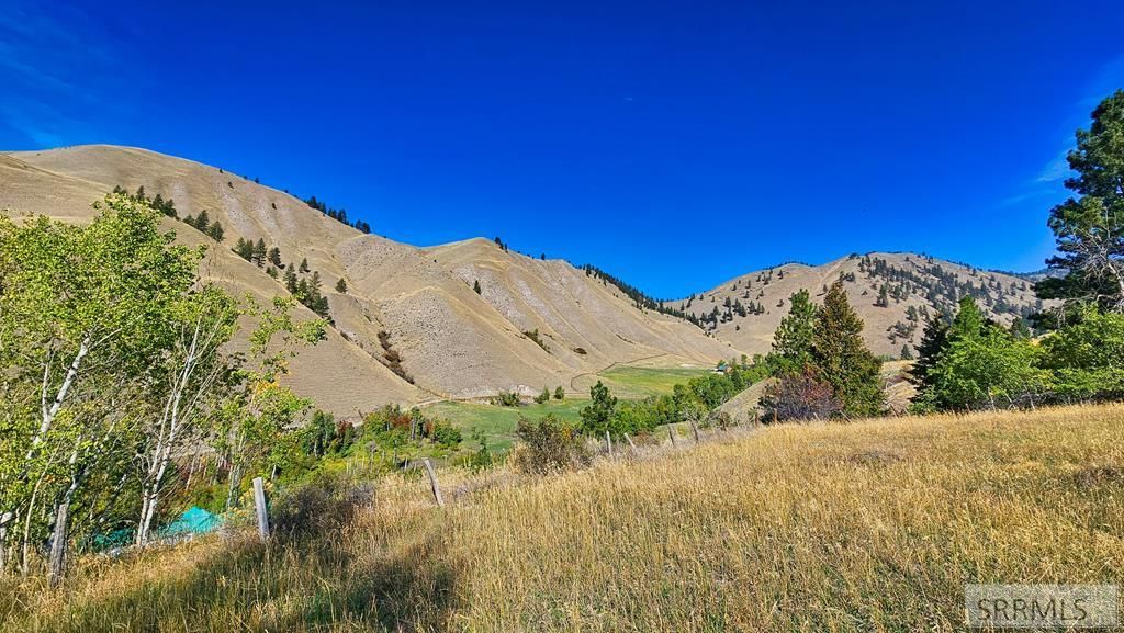 Image 20 of property listing at 53 Runnin Bear Road, Carmen, ID 83462