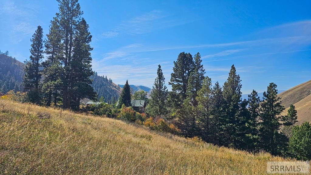 Image 61 of property listing at 53 Runnin Bear Road, Carmen, ID 83462