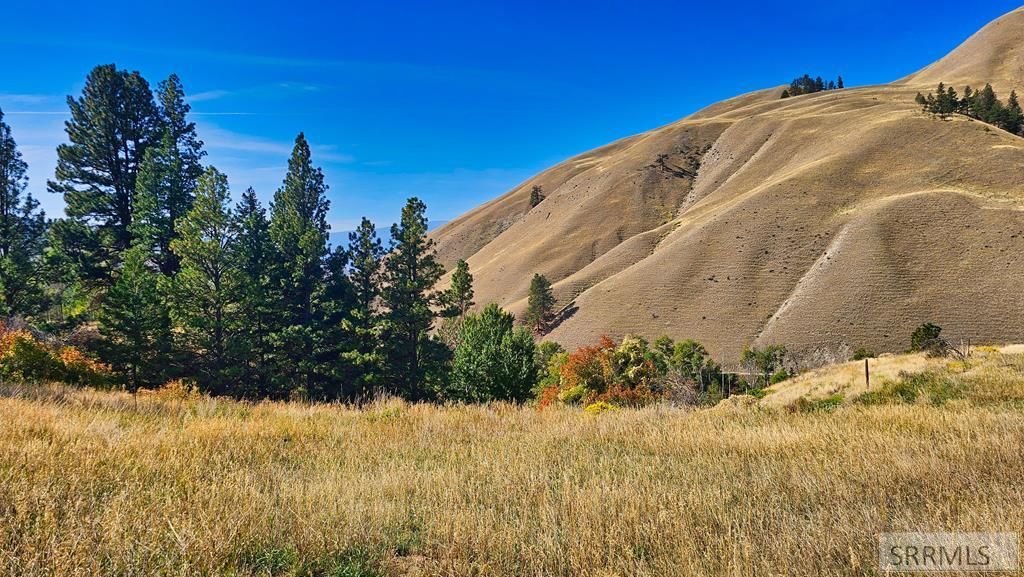 Image 62 of property listing at 53 Runnin Bear Road, Carmen, ID 83462