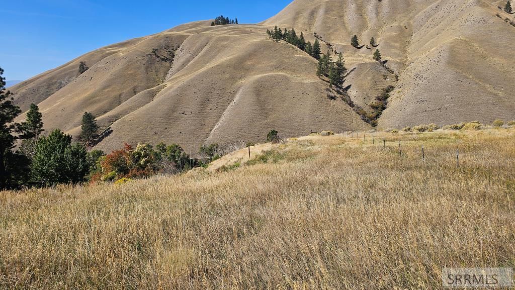 Image 63 of property listing at 53 Runnin Bear Road, Carmen, ID 83462