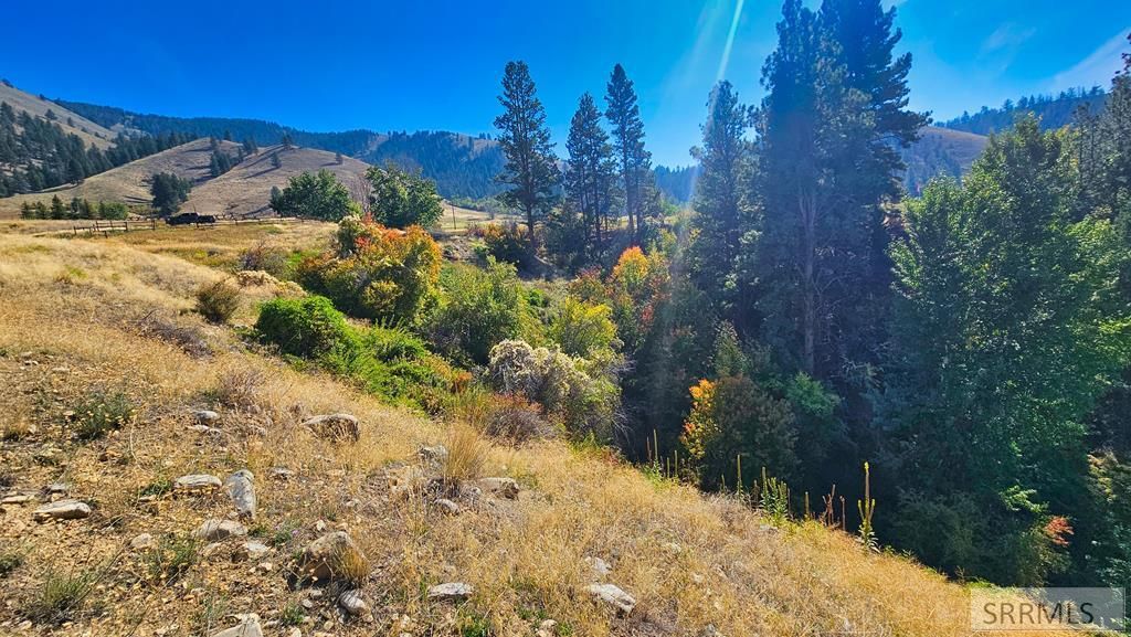 Image 65 of property listing at 53 Runnin Bear Road, Carmen, ID 83462