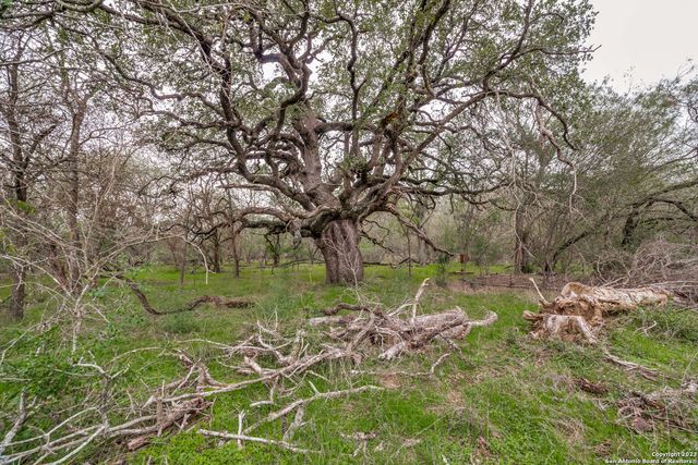 2660 W JETT RD, San Antonio, TX 78264