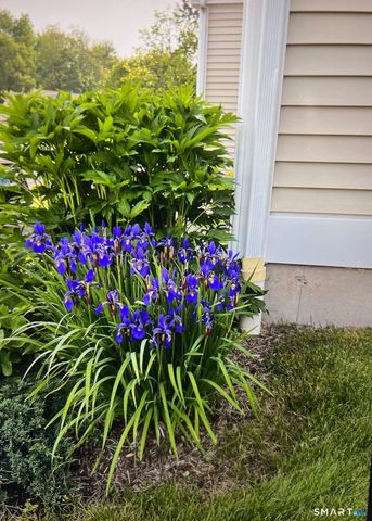 1 Magnolia Circle 1, Farmington, CT 06032