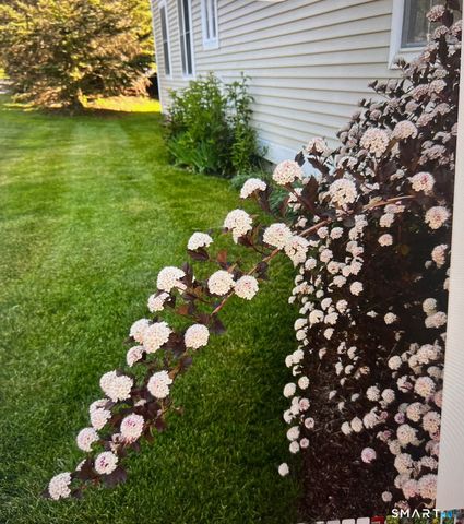 1 Magnolia Circle 1, Farmington, CT 06032