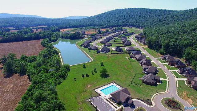 8107 Goose Ridge Drive, Owens Cross Roads, AL 35763