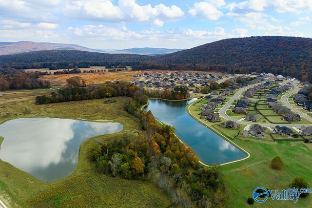 8107 Goose Ridge Drive, Owens Cross Roads, AL 35763