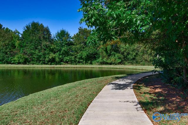 8107 Goose Ridge Drive, Owens Cross Roads, AL 35763