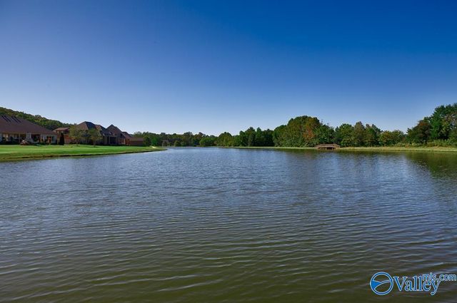 8107 Goose Ridge Drive, Owens Cross Roads, AL 35763