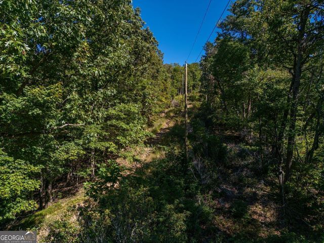 0 Shadowick Mountain Road, Jasper, GA 30143