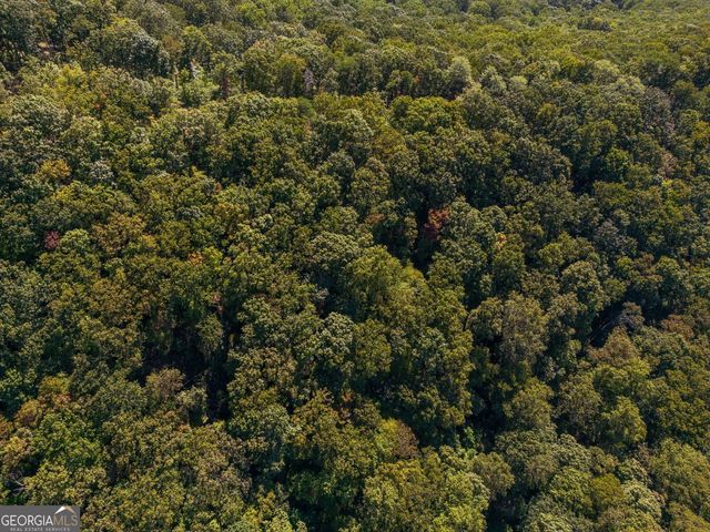 0 Shadowick Mountain Road, Jasper, GA 30143