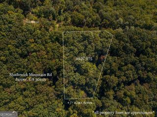 0 Shadowick Mountain Road, Jasper, GA 30143