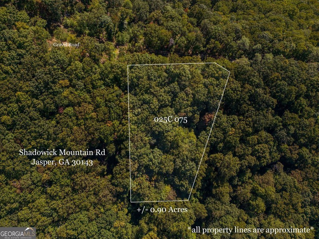 0 Shadowick Mountain Road, Jasper, GA 30143