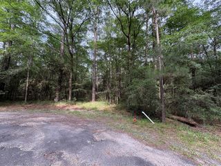 TBD N Clear Springs Road, Trinity, TX 75862