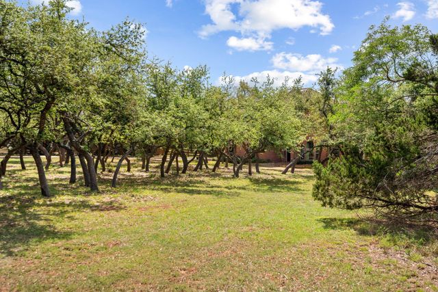 507 Saddlehorn DR, Dripping Springs, TX 78620