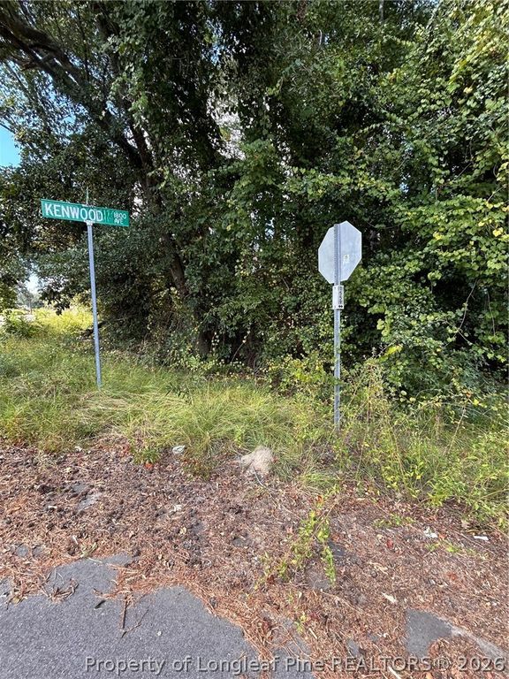 1100 Vass Road, Spring Lake, NC 28390 — photo 3