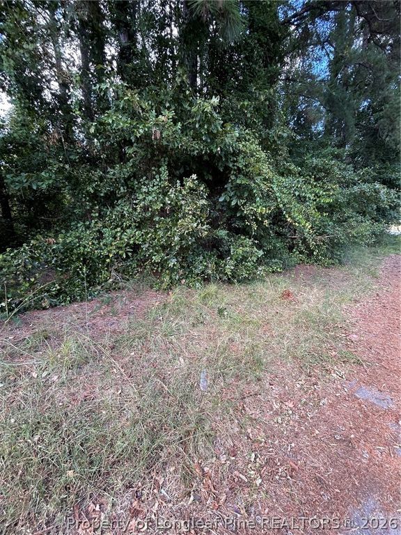 1100 Vass Road, Spring Lake, NC 28390 — photo 4