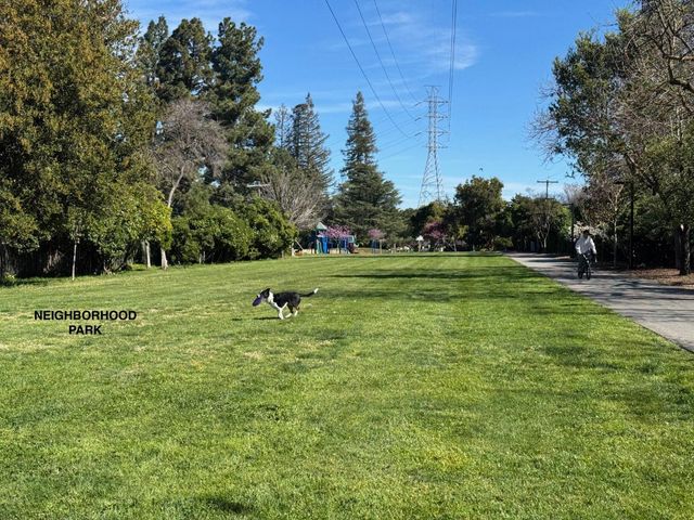 219 Longridge Road, Los Gatos, CA 95032