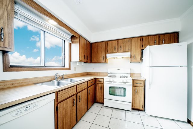 15712 PEGGY Lane 6, Oak Forest, IL 60452