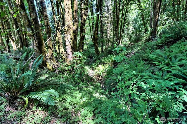 2461 W Deegan Road W, Shelton, WA 98584