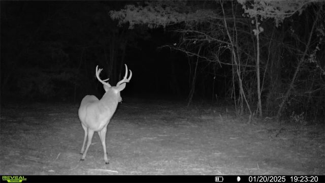 TBD Hwy 36 Highway, Caldwell, TX 77838