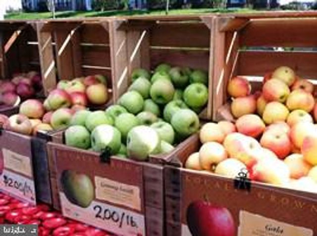 22555 CAMBRIDGEPORT SQ, Ashburn, VA 20148