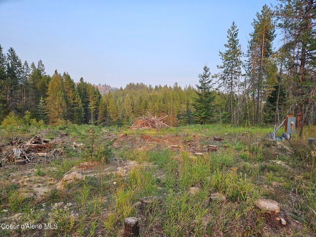 461 Bear Rd, Priest River, ID 83856