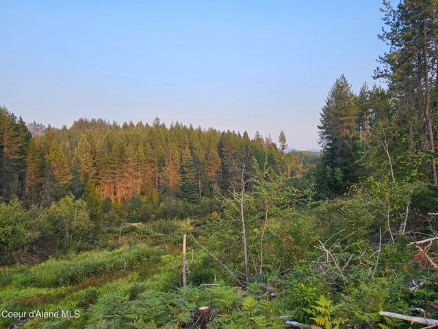 461 Bear Rd, Priest River, ID 83856
