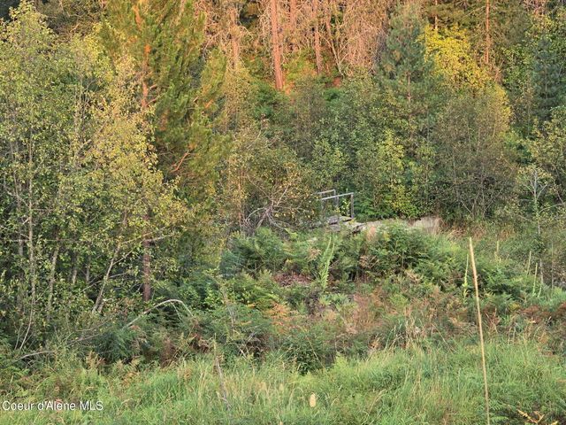 461 Bear Rd, Priest River, ID 83856