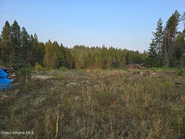 461 Bear Rd, Priest River, ID 83856