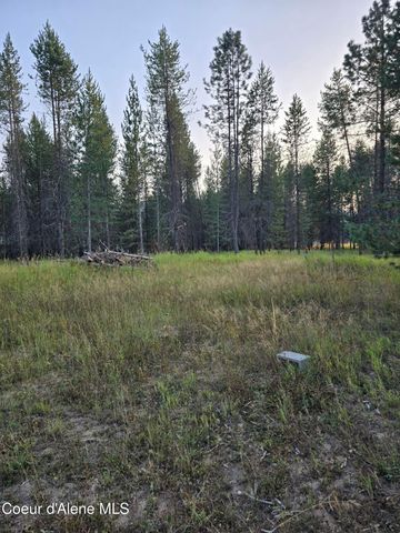 461 Bear Rd, Priest River, ID 83856