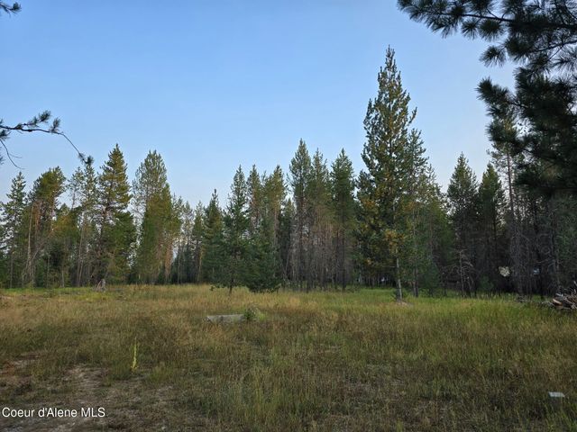 461 Bear Rd, Priest River, ID 83856